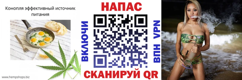 гидра ONION  наркотики  Шарья  Cannafood марихуана 