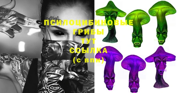 амф Михайловка
