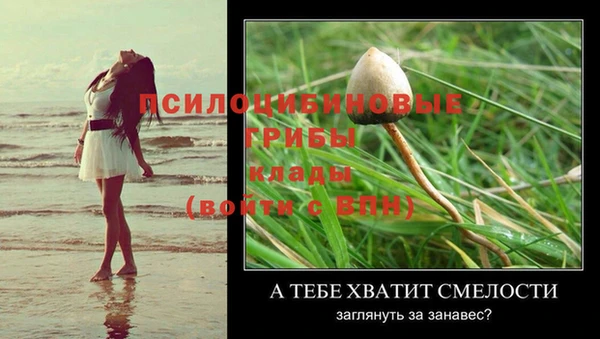 mix Медногорск