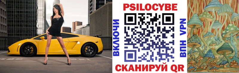 Галлюциногенные грибы Psilocybe  наркота  Шарья 